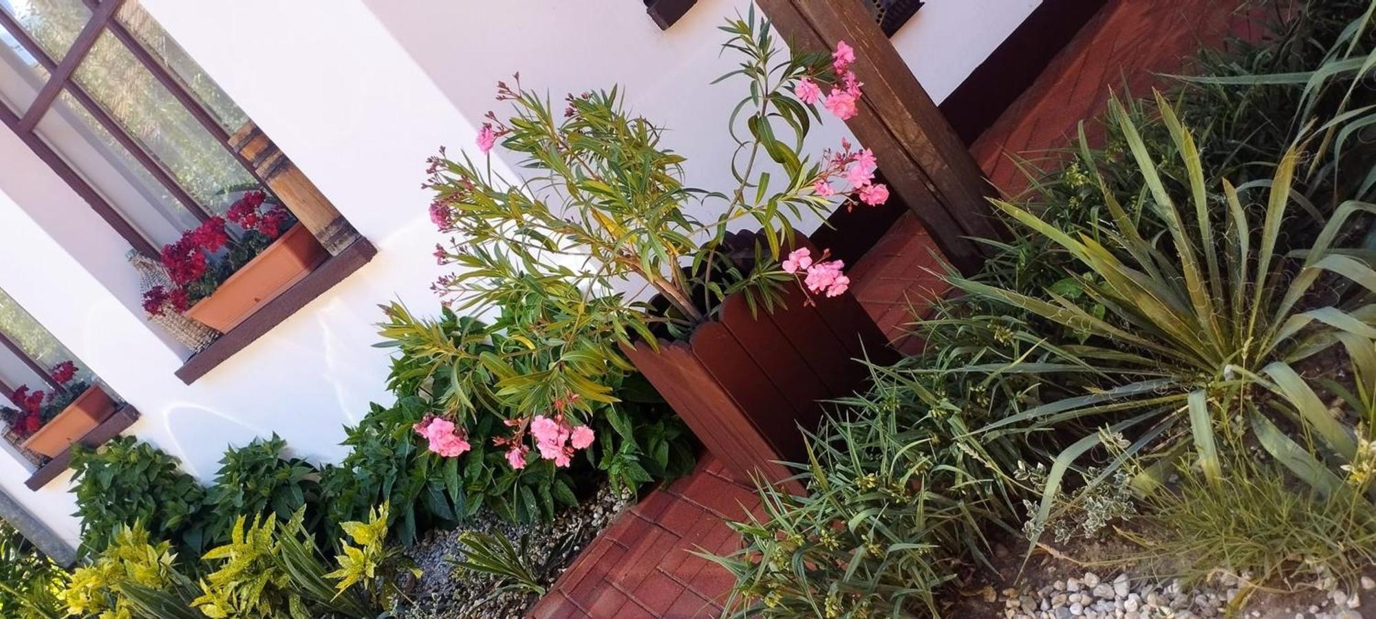 Erzsebet Vendeghaz Es Apartman ไฮจ์ดุสโซบอสโล ภายนอก รูปภาพ